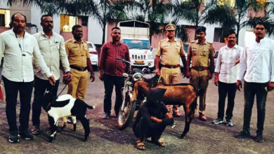 Photo of बोकड, शेळी, दुचाकी चोरणारे चोरटे ताब्यात