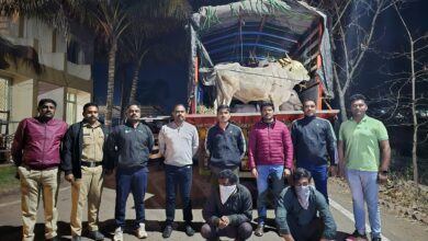 Photo of कत्तलीसाठी जनावरे घेऊन निघालेला ट्रक ताब्यात