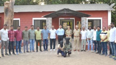 Photo of कोयना नदीपात्रातील खुनाचे रहस्य उलगडले