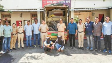 Photo of वीज कंपनीतील साहित्य चोरीप्रकरणी दोघांना अटक