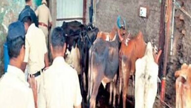 Photo of कराडात बेकायदा कत्तलखान्यावर छापा