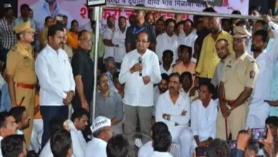 Photo of दुग्धविकास मंत्री राधाकृष्ण विखे पाटील व जयंत पाटील यांच्या मध्यस्थीने निलेश लंके यांचे आंदोलन स्थगित