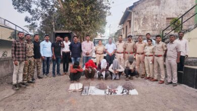 Photo of वन्य प्राण्याच्या शिकारप्रकरणी पाच ऊसतोड मजुरांवर गुन्हा