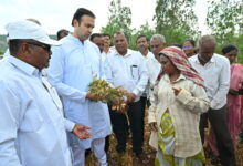 Photo of कराड दक्षिणमधील दुष्काळी परिस्थितीची पाहणी शेतकऱ्यांच्या संकटात अतुलबाबा भोसले मैदानात; दुष्काळी भागांसाठी शासनदरबारी ठोस पाठपुरावा, मदतीची शेतकऱ्यांना आशा!